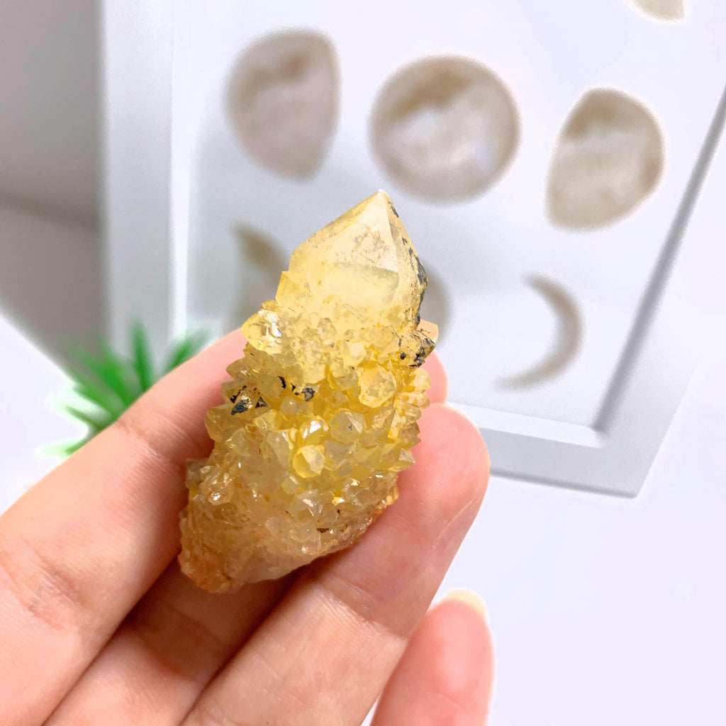 Natural Citrine Spirit Quartz Point from S.Africa #3 - Earth Family Crystals