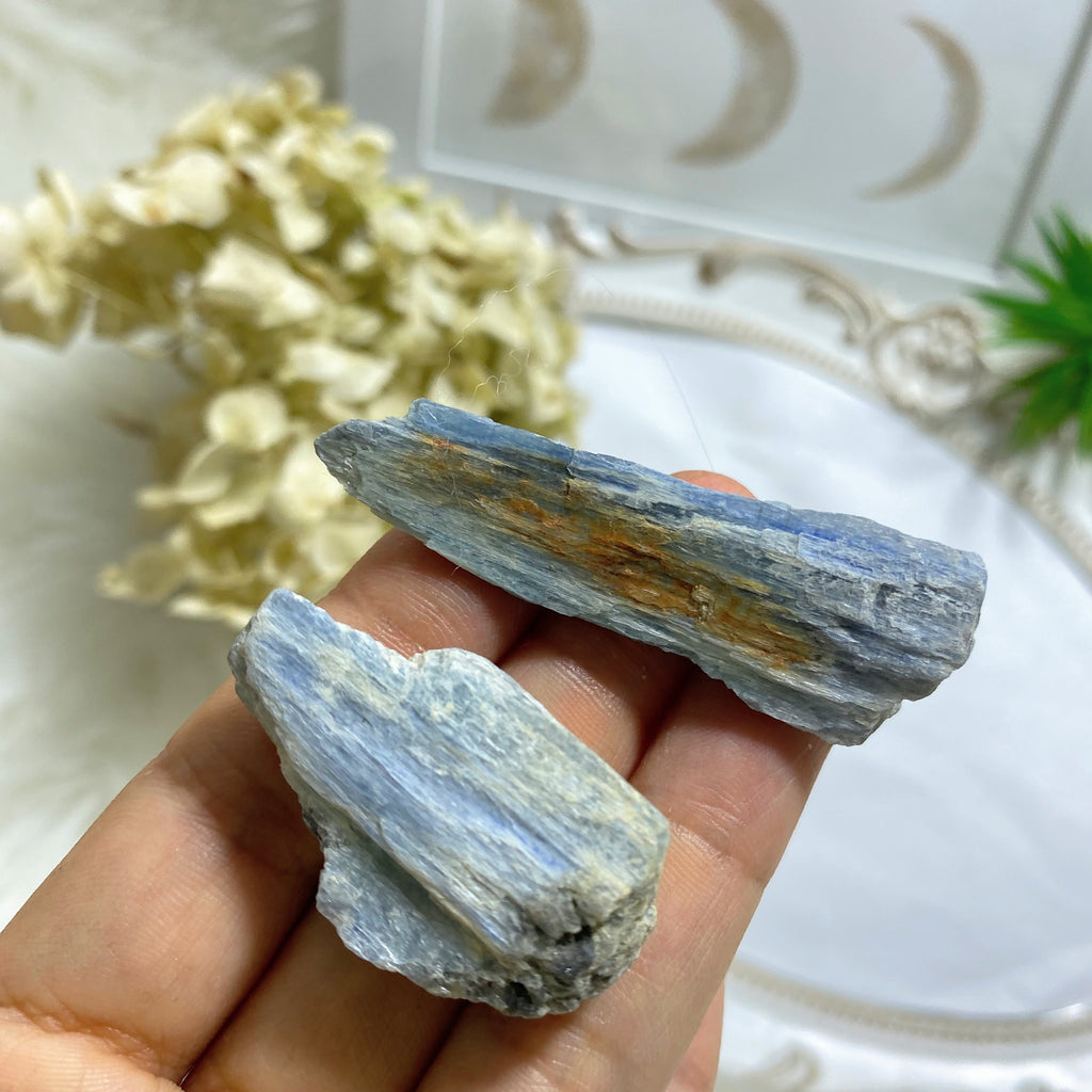 Set of 2 Natural Blue Kyanite Points - Earth Family Crystals