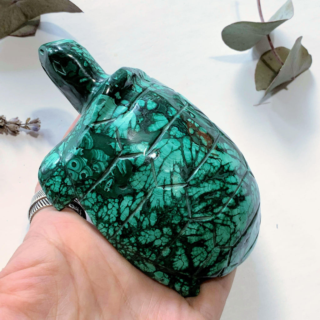 Fascinating Green Patterns Malachite Large Turtle Carving - Earth Family Crystals