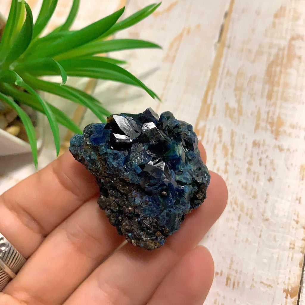 Rare Deep Blue Lazulite Crystal Specimen From Rapid Creek, Yukon, Canada #1 - Earth Family Crystals