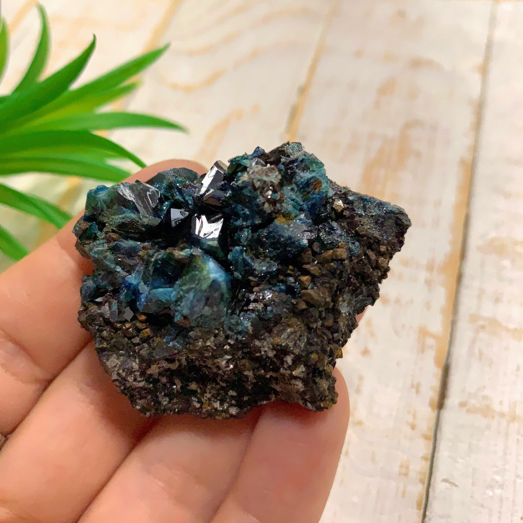 Rare Deep Blue Lazulite Crystal Specimen From Rapid Creek, Yukon, Canada #2 - Earth Family Crystals