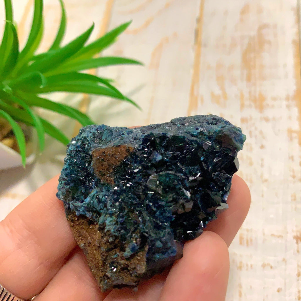 Rare Deep Blue Lazulite Crystal Specimen From Rapid Creek, Yukon, Canada #3 - Earth Family Crystals