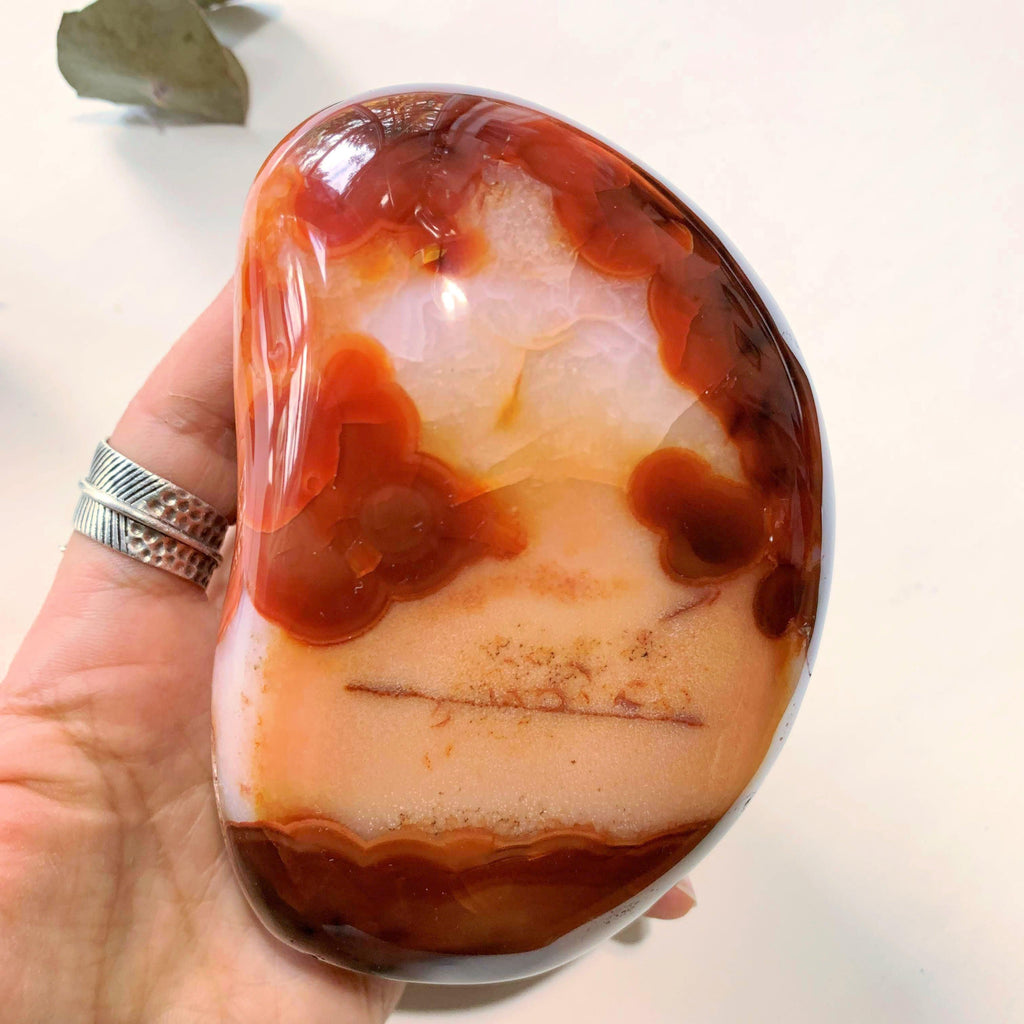 Incredible Fire Red & Orange Large Carnelian Free Form Standing Specimen ~Locality Madagascar - Earth Family Crystals