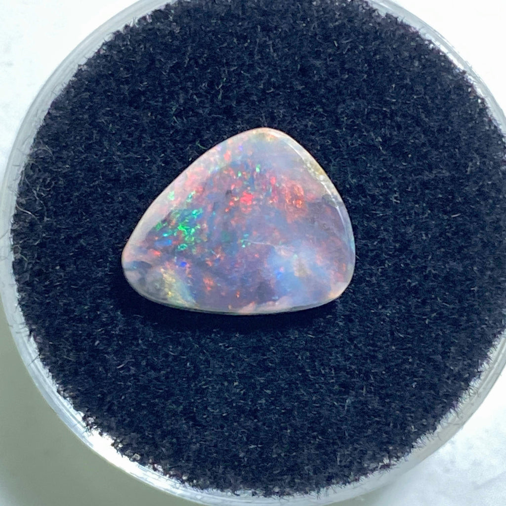 Very Rare! Flashy Black Australian Lightning Ridge Boulder Opal Cabochon In Collectors Box - Earth Family Crystals