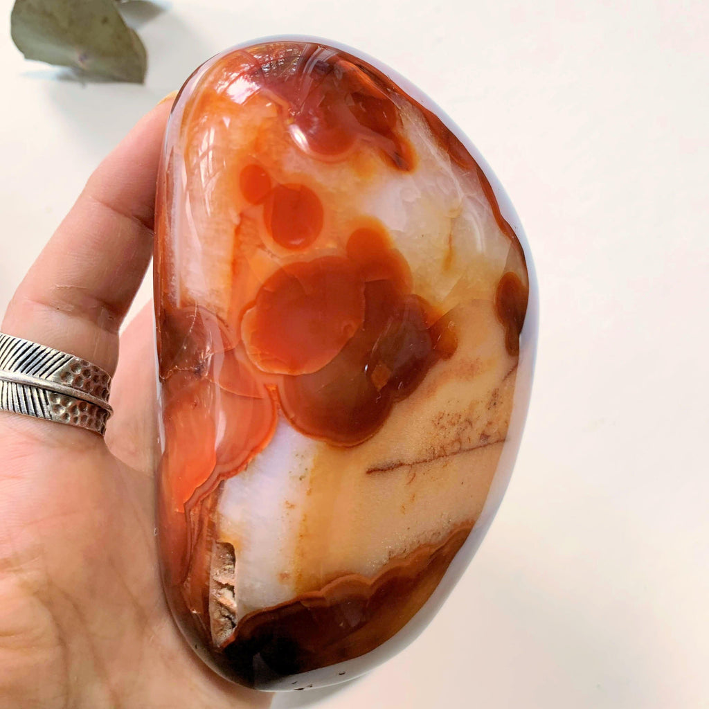 Incredible Fire Red & Orange Large Carnelian Free Form Standing Specimen ~Locality Madagascar - Earth Family Crystals