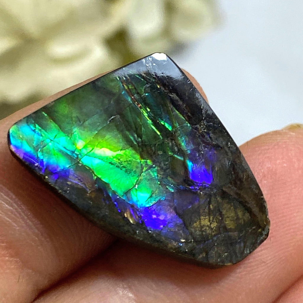 Rare Purple & Blue Flashes Alberta Ammolite Cabochon Ideal for Crafting #1 - Earth Family Crystals