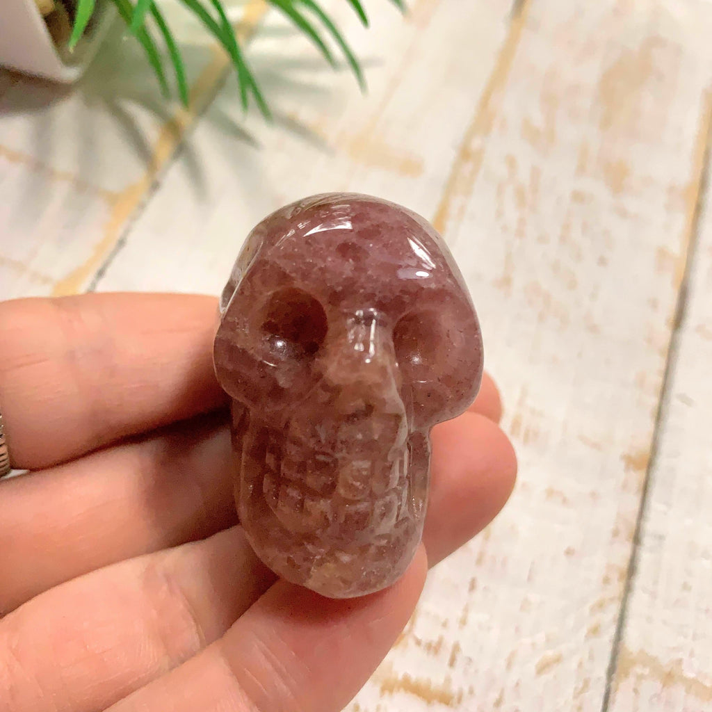 NEW FIND! Genuine Cherry Tanzurine Crystal Skull From Tanzania - Earth Family Crystals