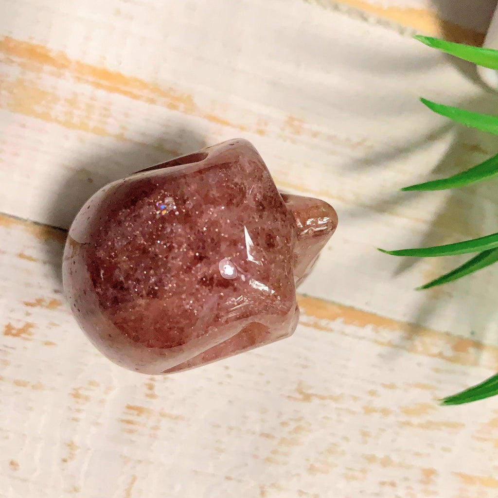 NEW FIND! Genuine Cherry Tanzurine Crystal Skull From Tanzania - Earth Family Crystals