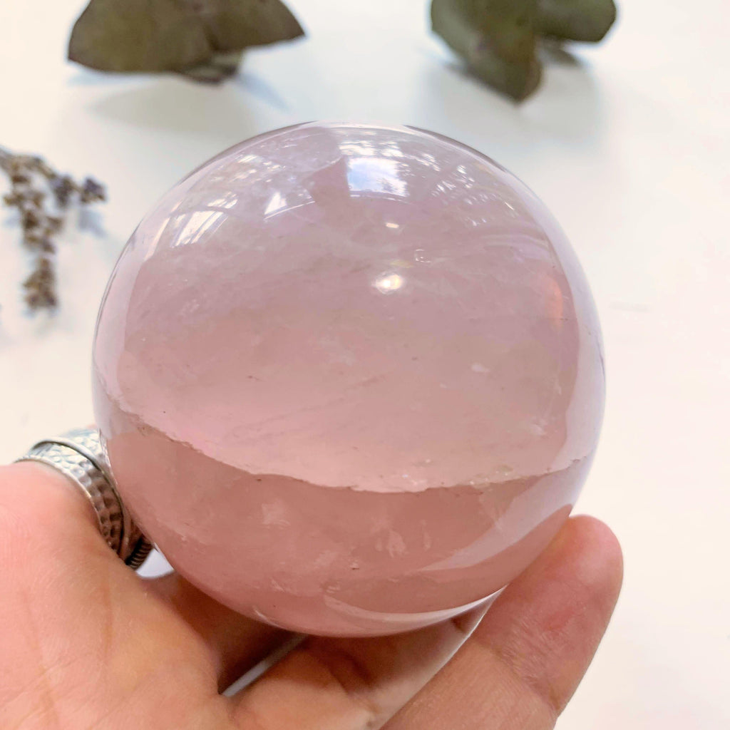Precious Sweet Pink Rose Quartz Large Sphere Carving ~Locality Madagascar - Earth Family Crystals