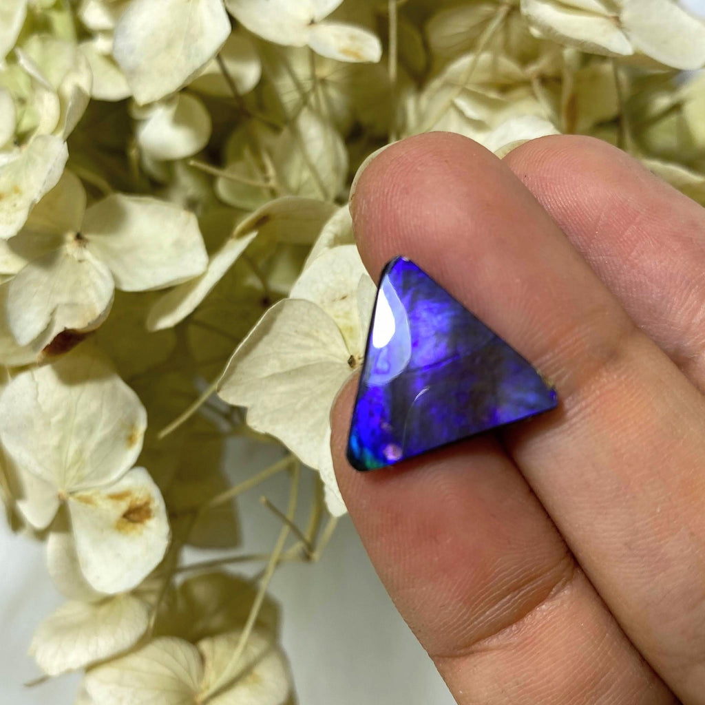 RESERVED For Tiffany~Rare Midnight Purple Flashes Alberta Ammolite Cabochon Ideal for Crafting #2 - Earth Family Crystals