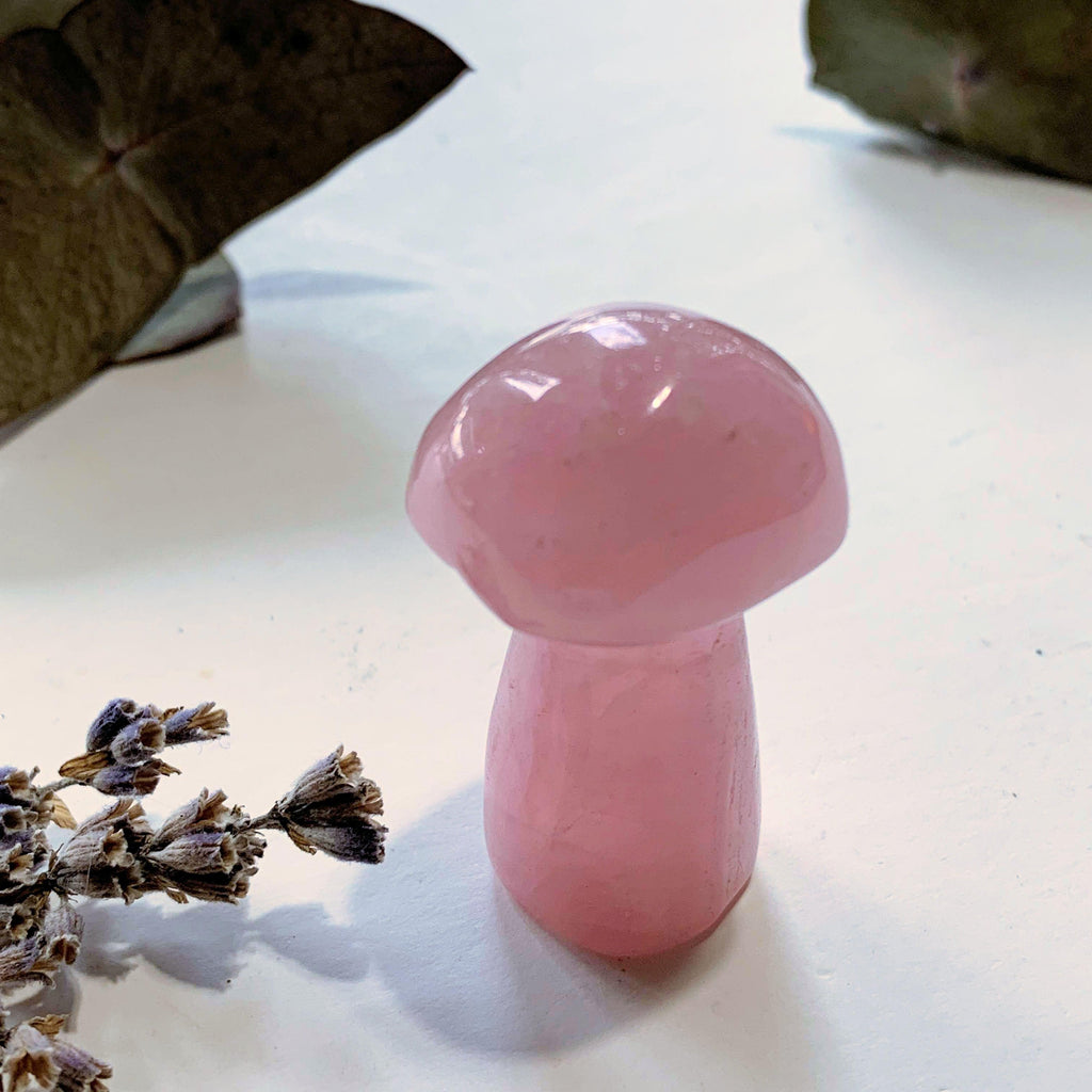Sweet Pink Rose Quartz Mushroom Standing Display Carving - Earth Family Crystals