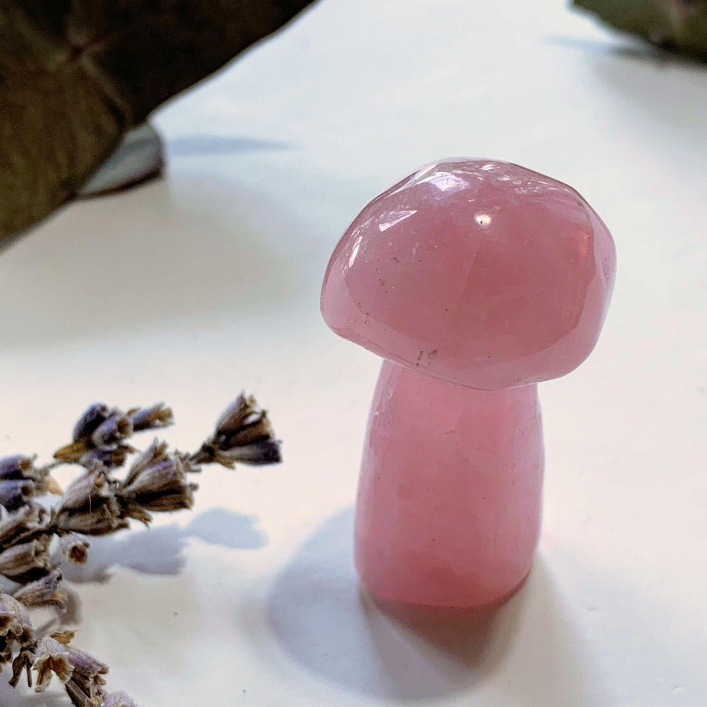 Sweet Pink Rose Quartz Mushroom Standing Display Carving - Earth Family Crystals