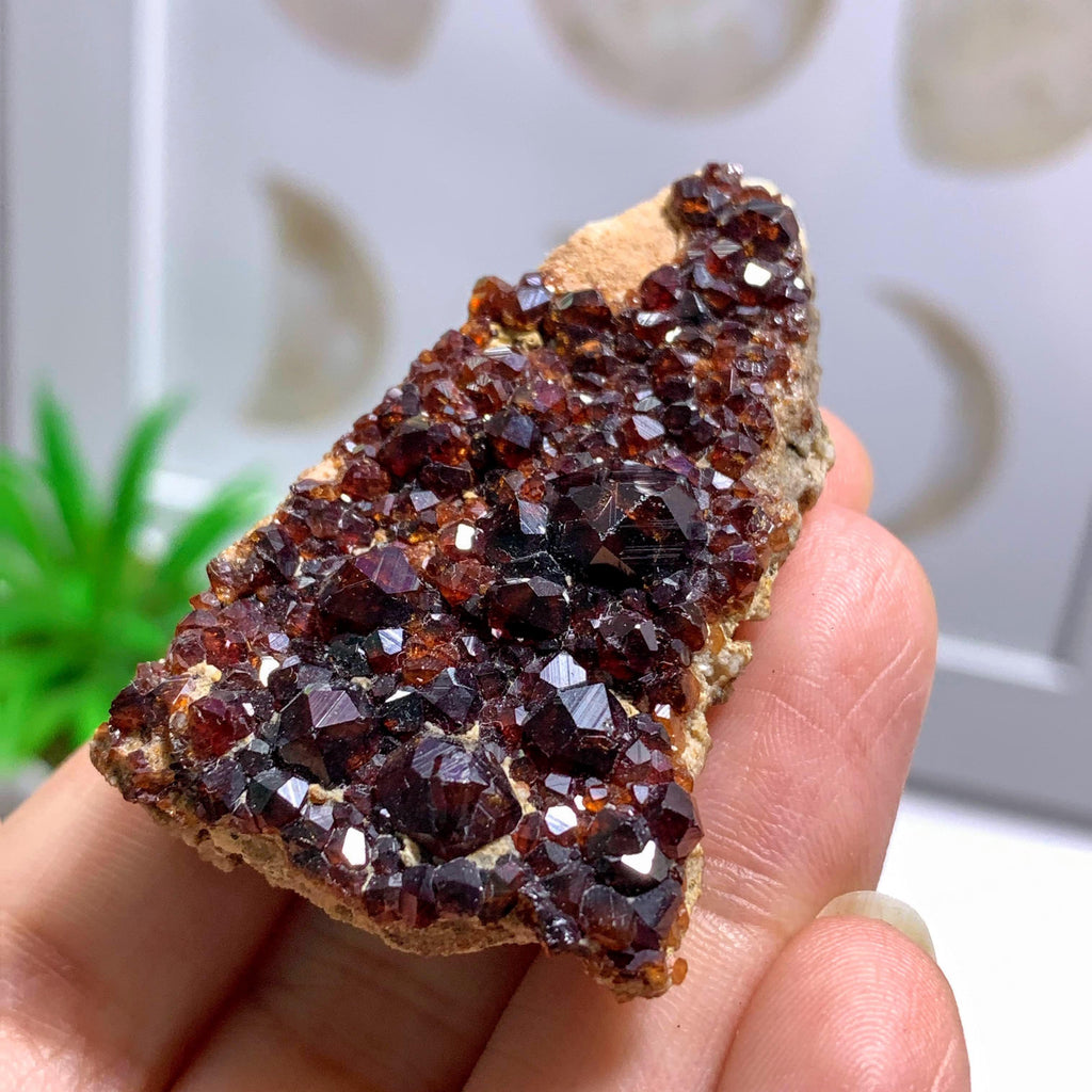 Spessartine Garnet Natural Deep Burgundy Gemmy Specimen - Earth Family Crystals