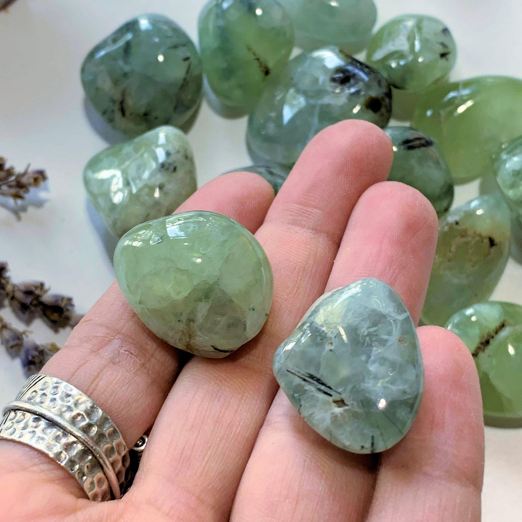 Set of 2 Prehnite Tumbled Stones With Epidote Inclusions -Locality Mali - Earth Family Crystals