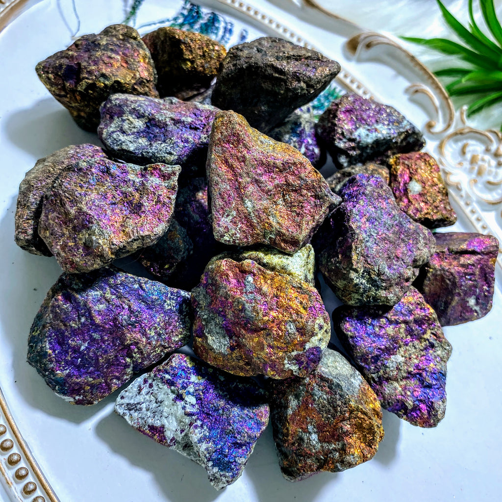 Set of 2~Natural Raw Peacock Ore (Bornite) Chunky Specimen - Earth Family Crystals
