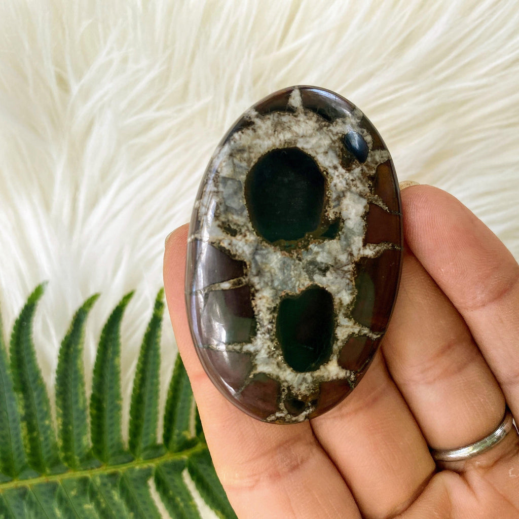 Beauitful Large Septarian Cabochon Perfect for Crafting #1 - Earth Family Crystals