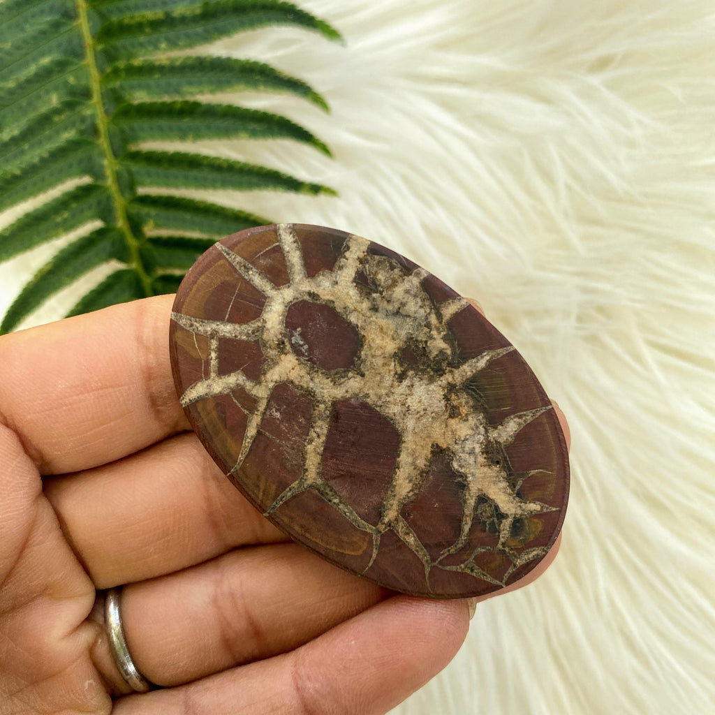 Beauitful Large Septarian Cabochon Perfect for Crafting #1 - Earth Family Crystals