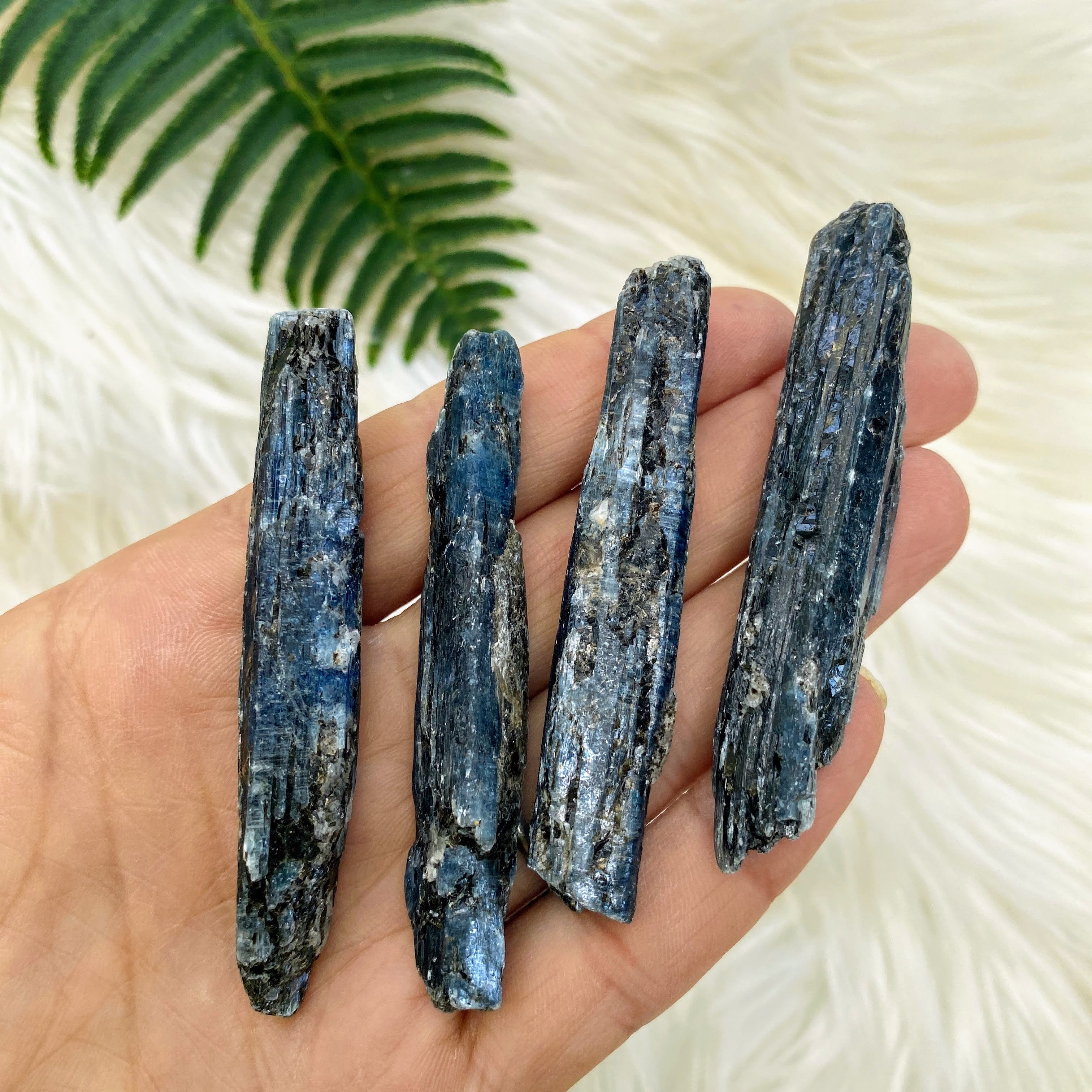 One Gemmy Blue Kyanite Natural Point Specimen - Earth Family Crystals