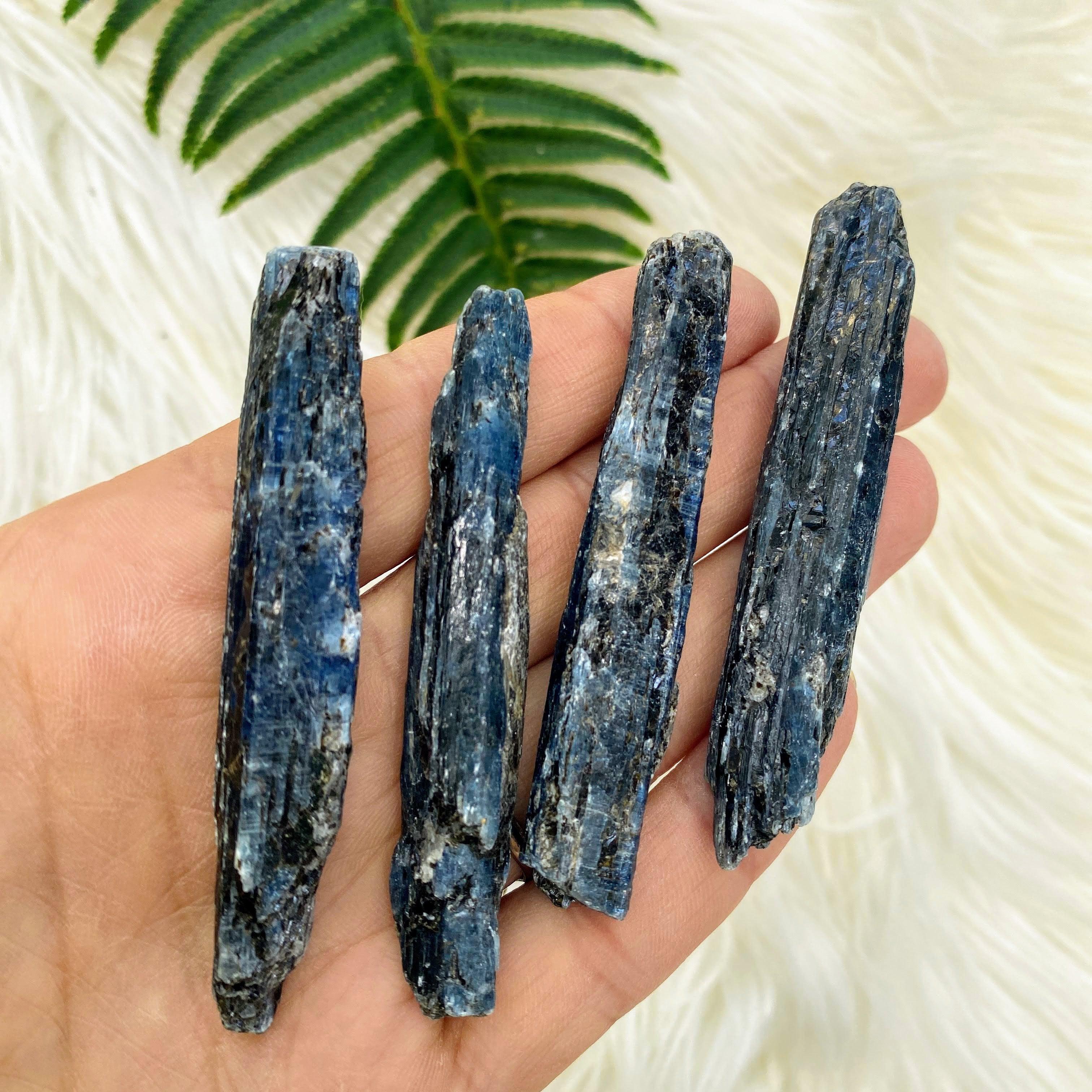 One Gemmy Blue Kyanite Natural Point Specimen - Earth Family Crystals