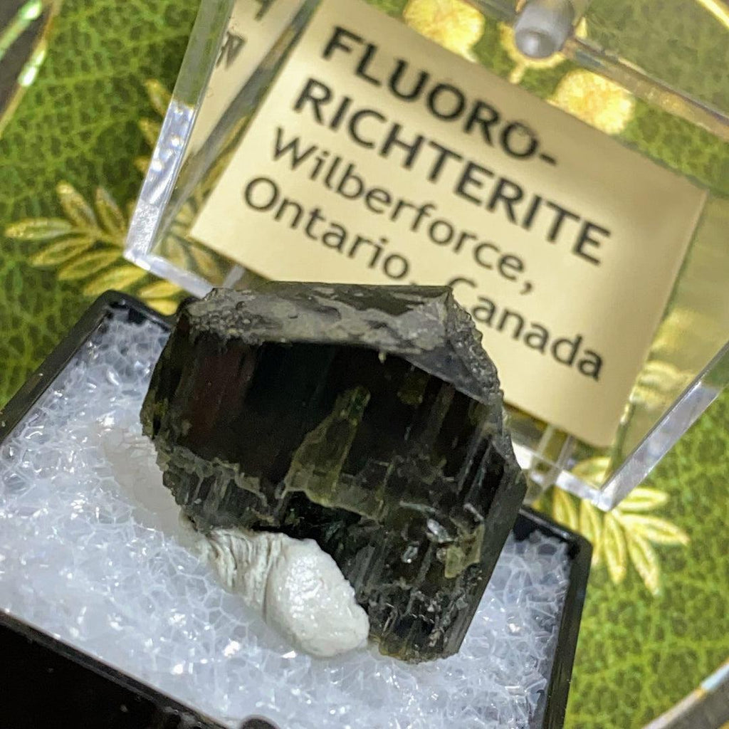 Rare & Unusual Fluoro-Richterite Crystal in Collectors Box ~Locale: Wilberforce, Ontario, Canada - Earth Family Crystals