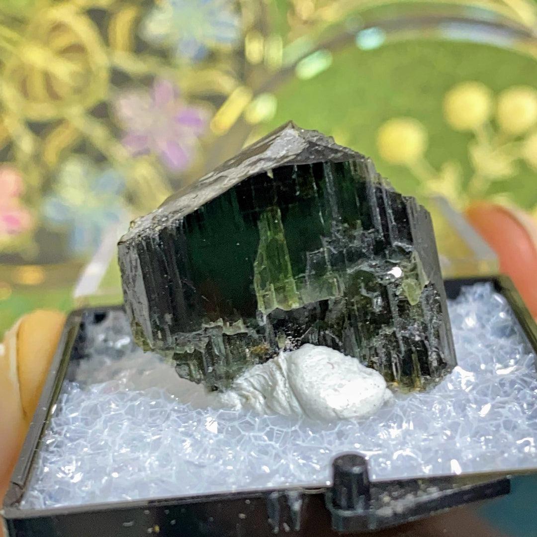 Rare & Unusual Fluoro-Richterite Crystal in Collectors Box ~Locale: Wilberforce, Ontario, Canada - Earth Family Crystals