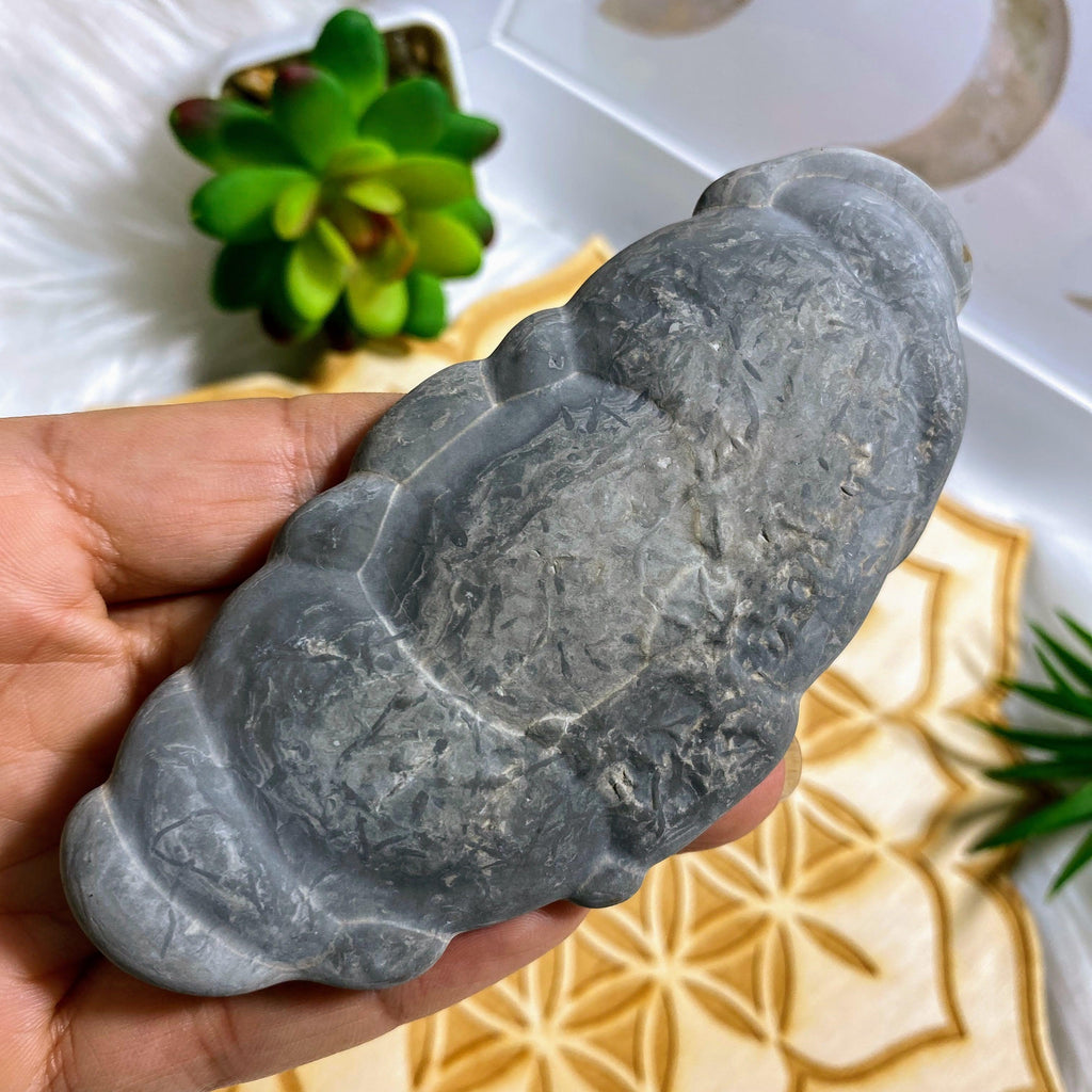 Unique Formation! Fairy Stone Concretion Natural Large Specimen ~Locality: Quebec Canada #1 - Earth Family Crystals