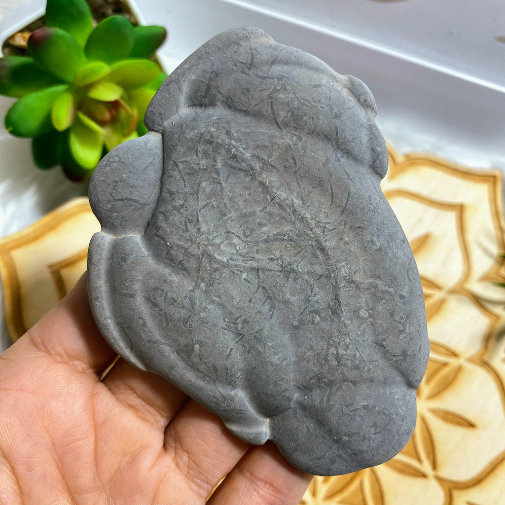 Unique Formation! Fairy Stone Concretion Natural Large Specimen ~Locality: Quebec Canada #2 - Earth Family Crystals