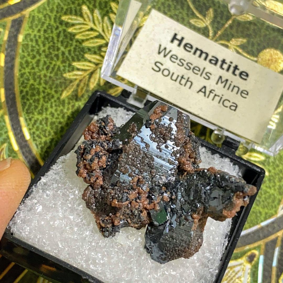 Gemmy Natural Terminated Hematite Rare Crystal In Collectible Box ~Locality: Wessels Mine, South Africa - Earth Family Crystals