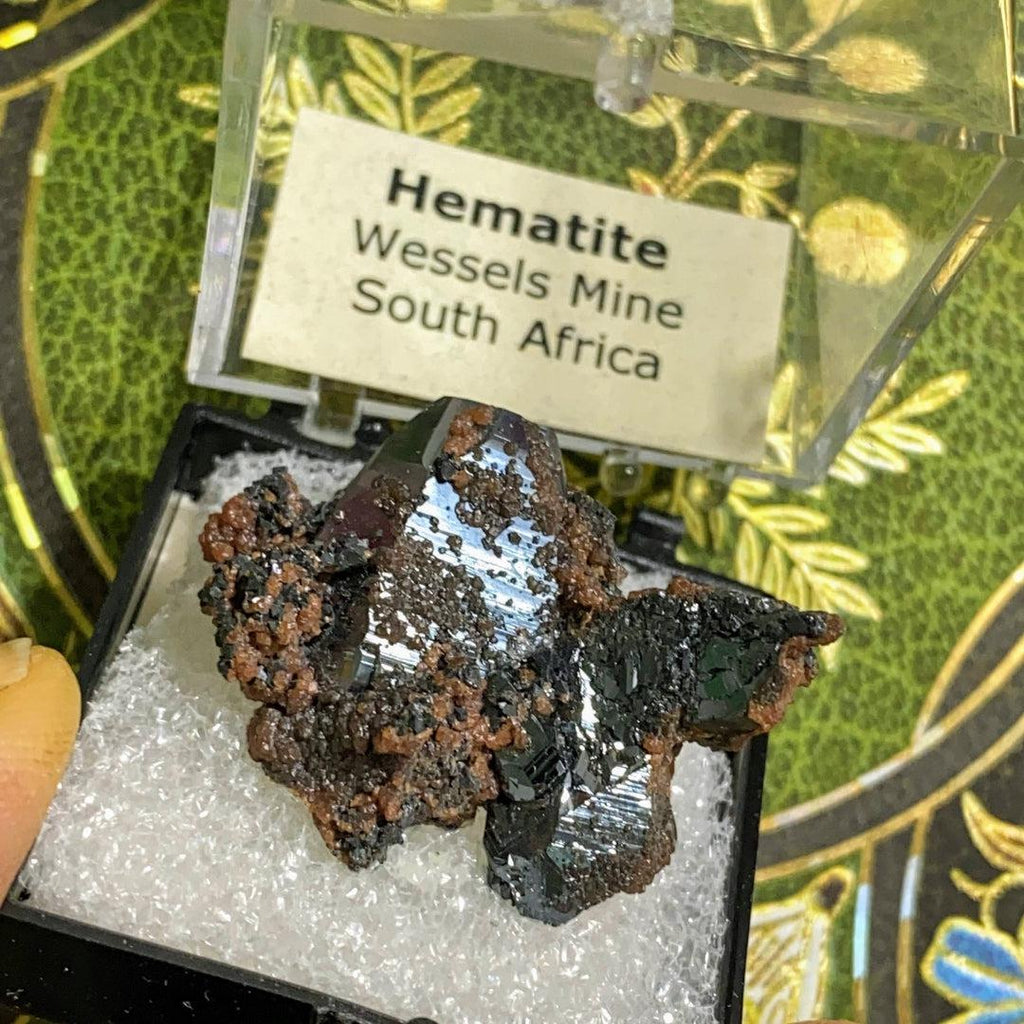 Gemmy Natural Terminated Hematite Rare Crystal In Collectible Box ~Locality: Wessels Mine, South Africa - Earth Family Crystals