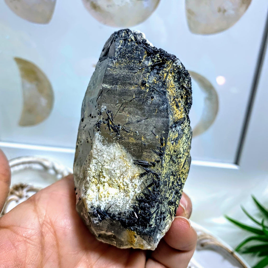 Unique Natural Smoky Quartz Point With Aegirine Point~ Locality Malawi, Africa - Earth Family Crystals