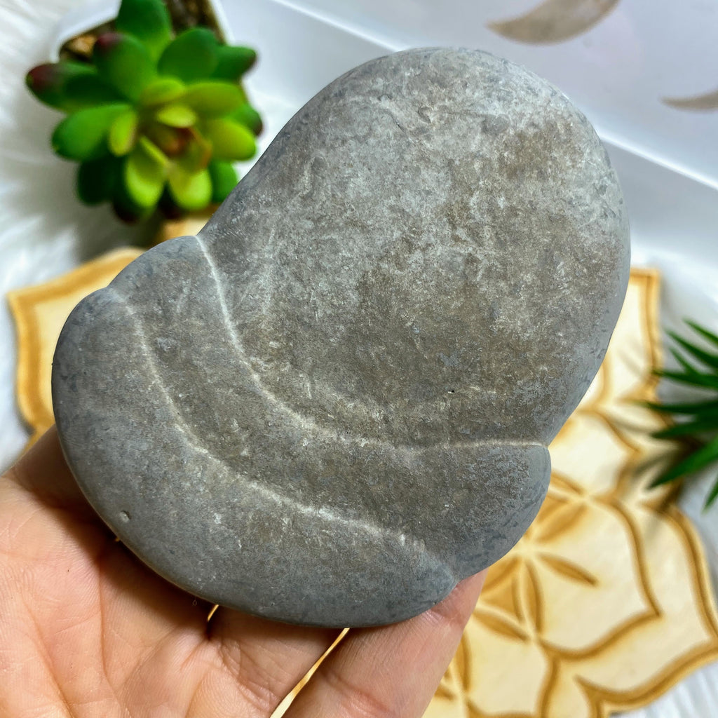 Unique Formation! Fairy Stone Concretion Natural Large Specimen ~Locality: Quebec Canada #7 - Earth Family Crystals