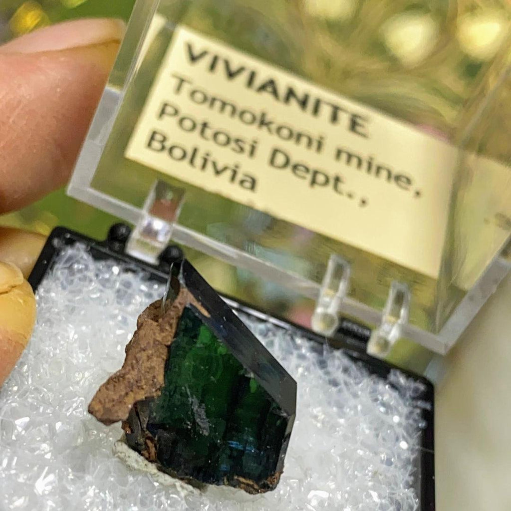 Very Rare!  Deep Green Terminated Vivianite Crystal Collectors Specimen~Locality: Tomokoni, Bolivia - Earth Family Crystals