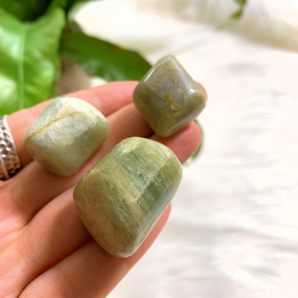 Set of 3 Polished Aquamarine Pocket Stones - Earth Family Crystals