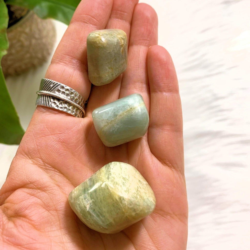 Set of 3 Polished Aquamarine Pocket Stones - Earth Family Crystals