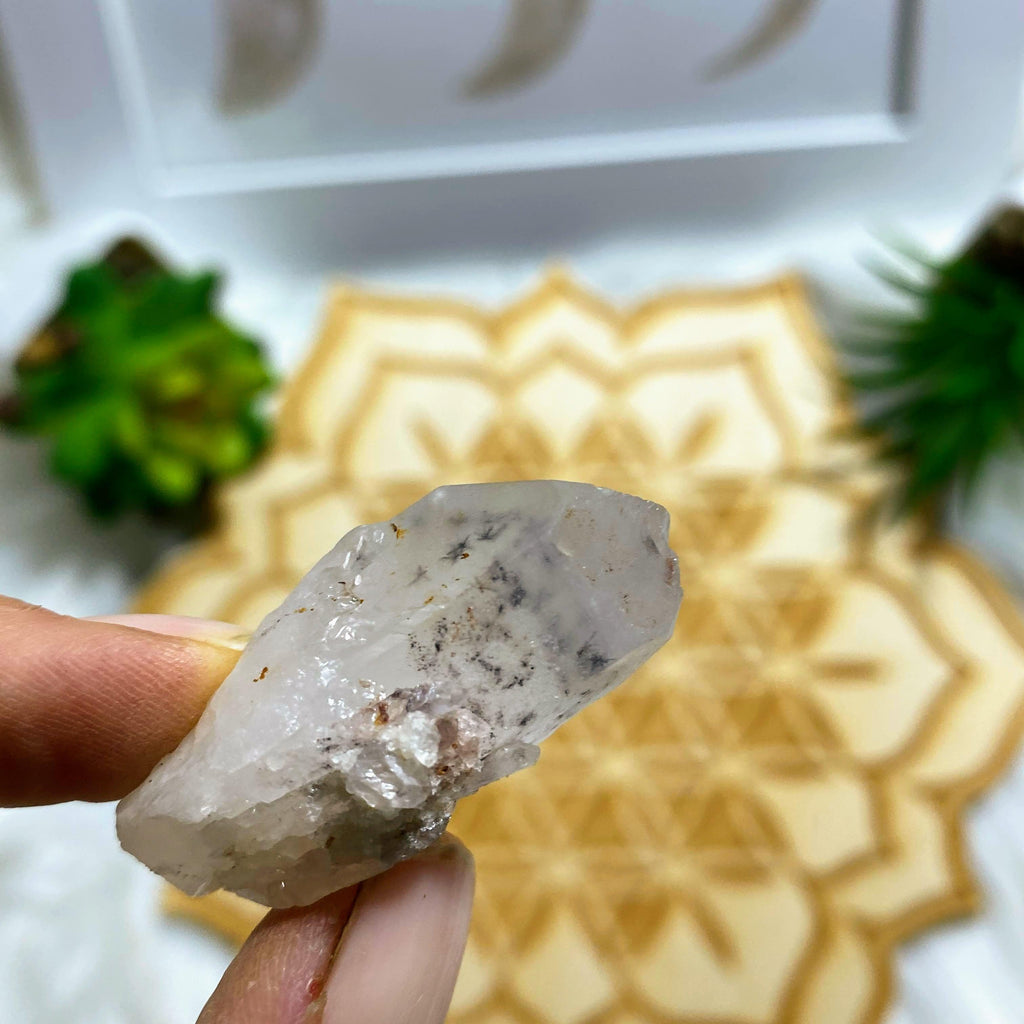 Very Rare! Beautiful Star Hollandite Clear Quartz Point From Madagascar - Earth Family Crystals