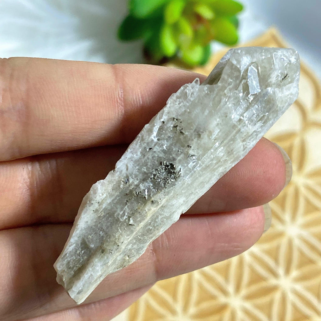 Danburite Hand Hand Held Specimen With Pyrite Druzy From Mexico - Earth Family Crystals