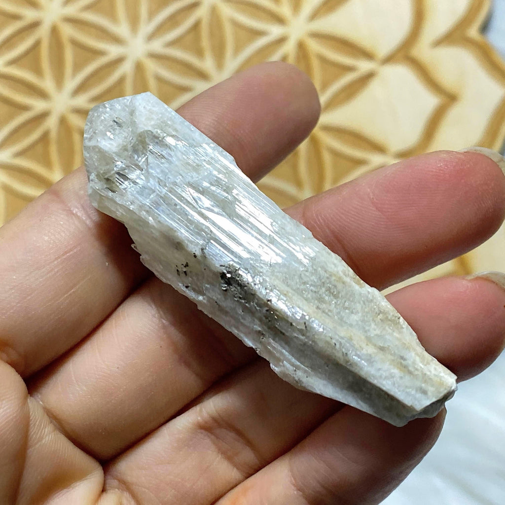 Danburite Hand Hand Held Specimen With Pyrite Druzy From Mexico - Earth Family Crystals