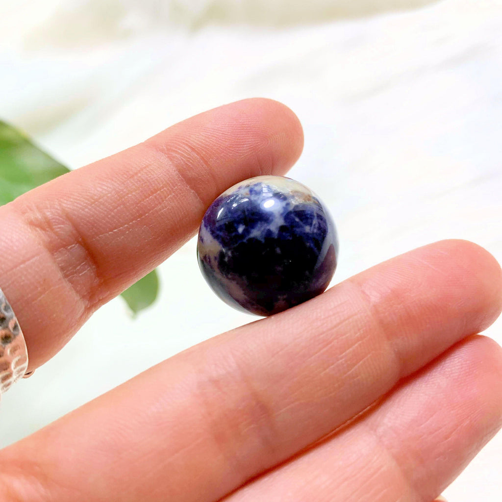 Sodalite Sphere Dainty Carving - Earth Family Crystals