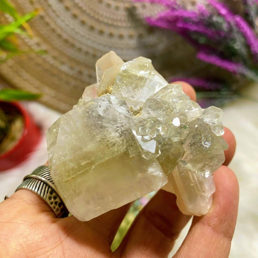 Gemmy Rare Sparkling Green Apophyllite, Stilbite & Mordenite Cluster ~Locality India - Earth Family Crystals