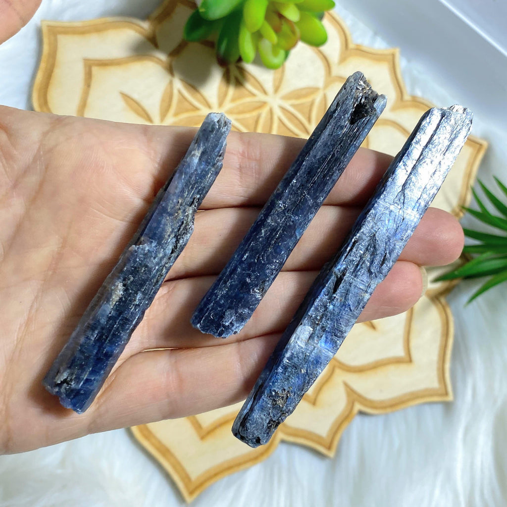One High Grade Gemmy Blue Kyanite Natural Point ~Locality Zimbabwe - Earth Family Crystals