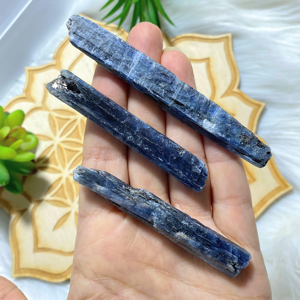 One High Grade Gemmy Blue Kyanite Natural Point ~Locality Zimbabwe - Earth Family Crystals
