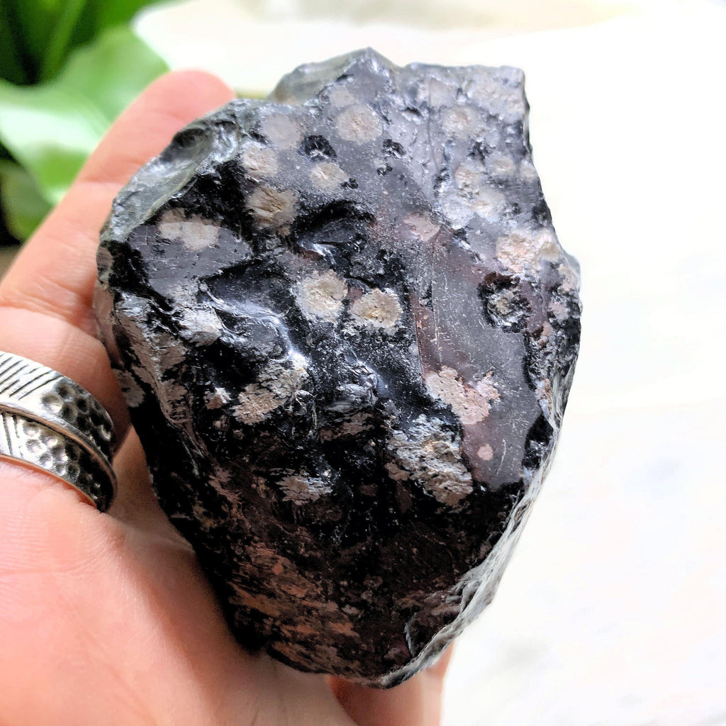 Snowflake Obsidian Big Natural Specimen - Earth Family Crystals