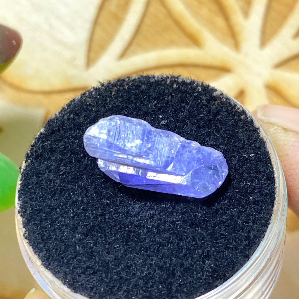 4.5 CT Terminated Gemmy Natural Tanzanite Specimen in Collectors Box - Earth Family Crystals