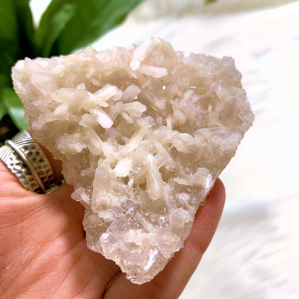 NEW FIND! Druzy Apophyllite Baby Points With Stilbite Underside From India #1 - Earth Family Crystals