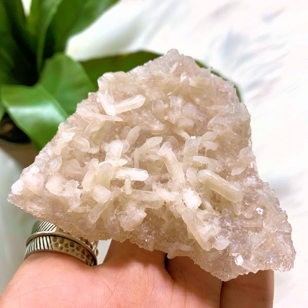 NEW FIND! Druzy Apophyllite Baby Points With Stilbite Underside From India #1 - Earth Family Crystals