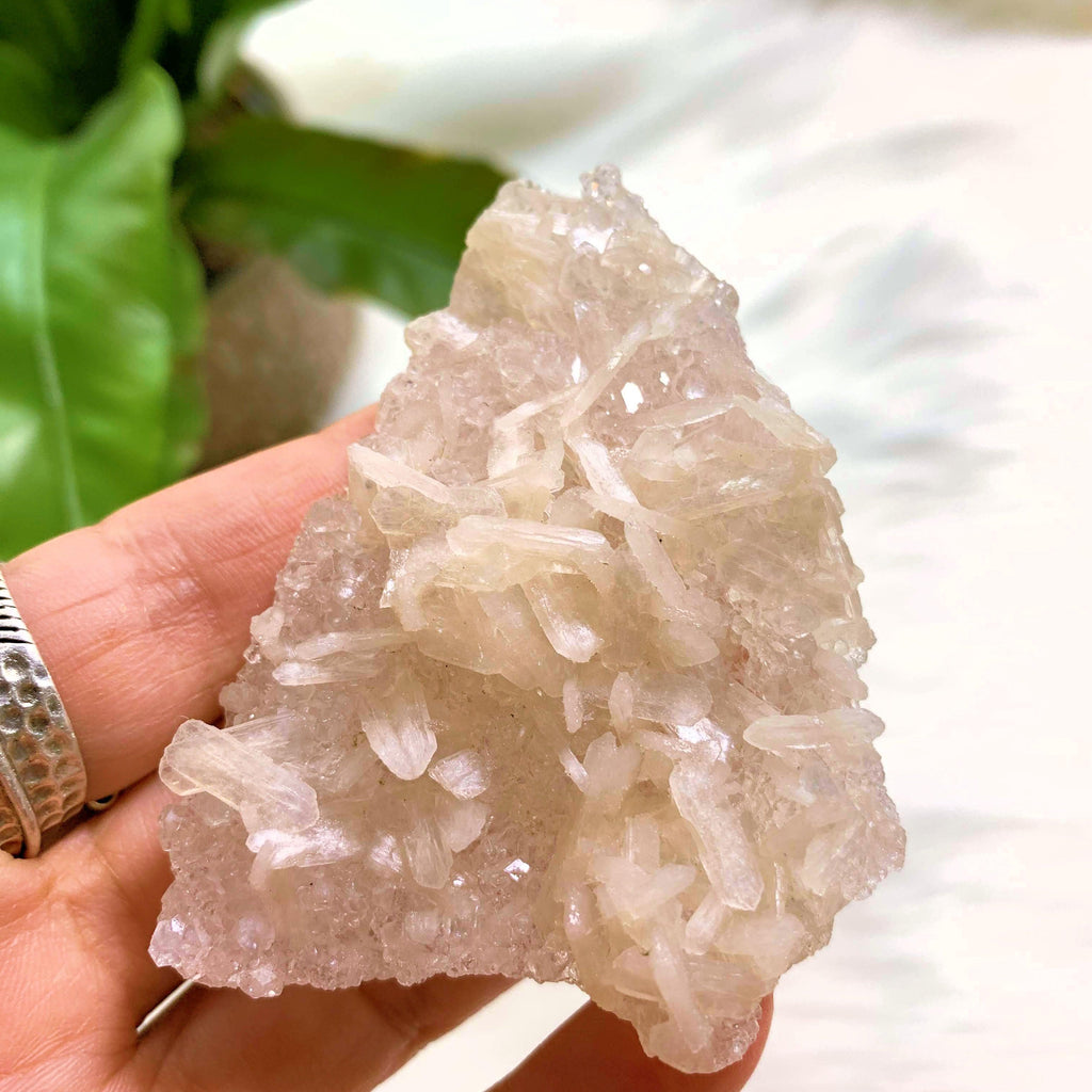 NEW FIND! Druzy Apophyllite Baby Points With Stilbite Underside From India #2 - Earth Family Crystals