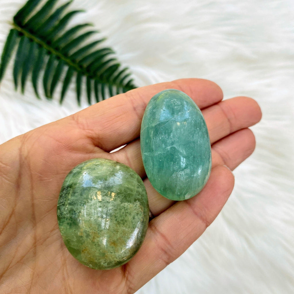 Set of 2 Green Fluorite Polished Palm Stones - Earth Family Crystals