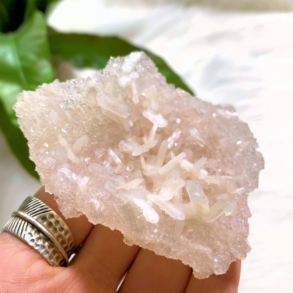 NEW FIND! Druzy Apophyllite Baby Points With Stilbite Underside From India #3 - Earth Family Crystals