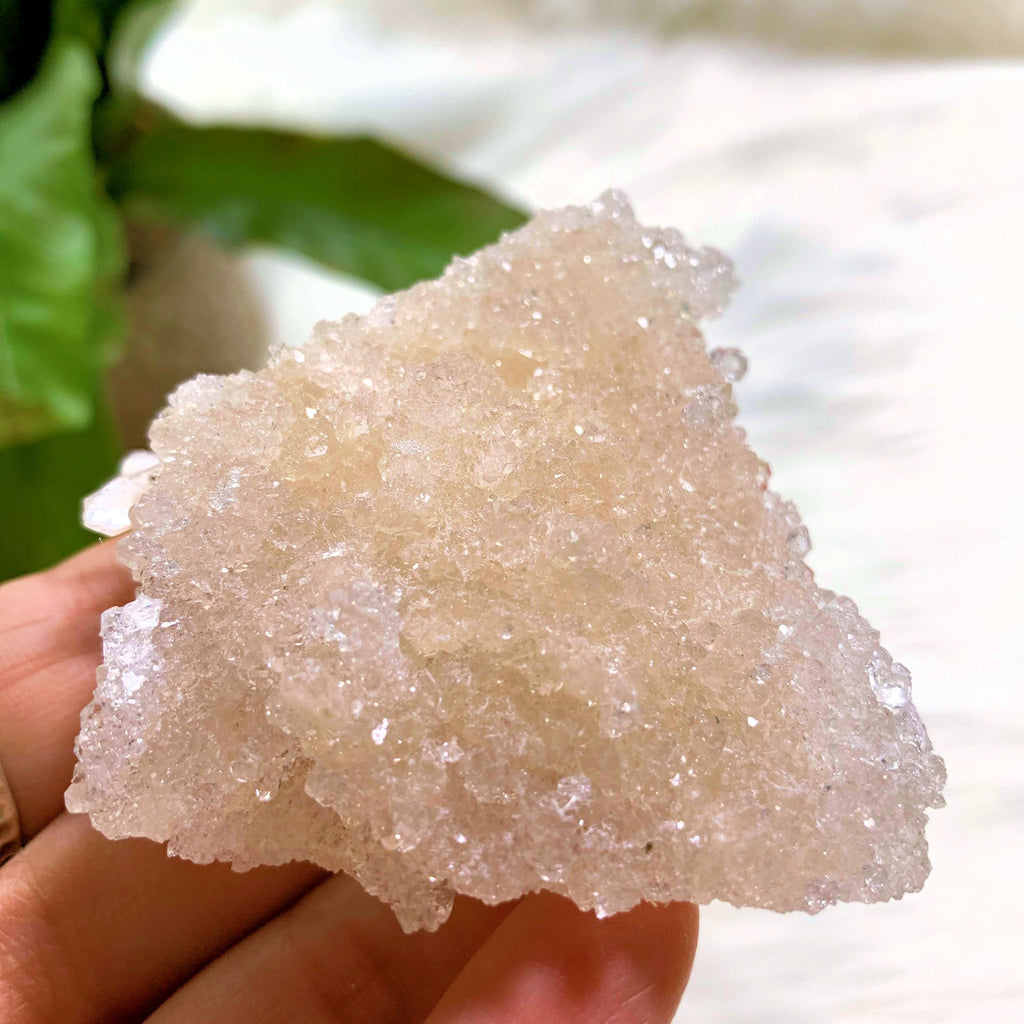 NEW FIND! Druzy Apophyllite Baby Points With Stilbite Underside From India #4 - Earth Family Crystals