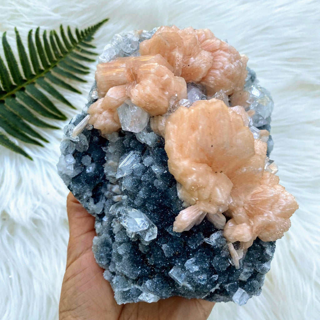 Breathtaking XL 1.6kg Pink Stilbite, Clear Apophyllite & Chalcedony Display Cluster Locality India - Earth Family Crystals